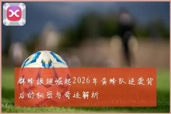 群蜂振翅崛起2026年黄蜂队逆袭背后的秘密与奇迹解析